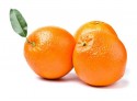 Orange (x 3~4 pièces)